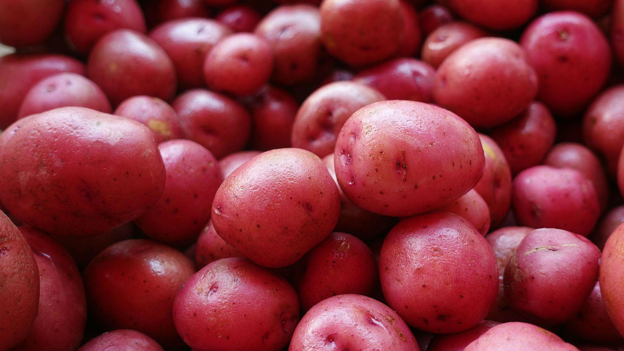 Red Potatoes – Peas On Earth